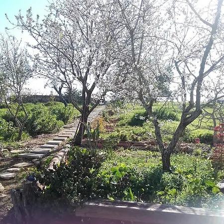 Bellavita Country